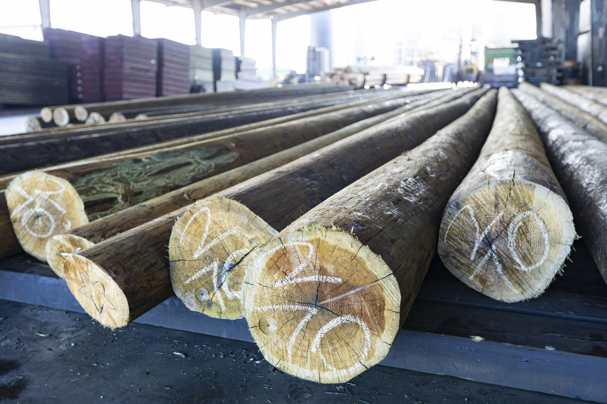  Conrad Forest Products - Commercial Photographer Yuba City 
